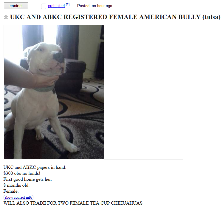 Craigslist Dogs 2 – More Dogs For Trade