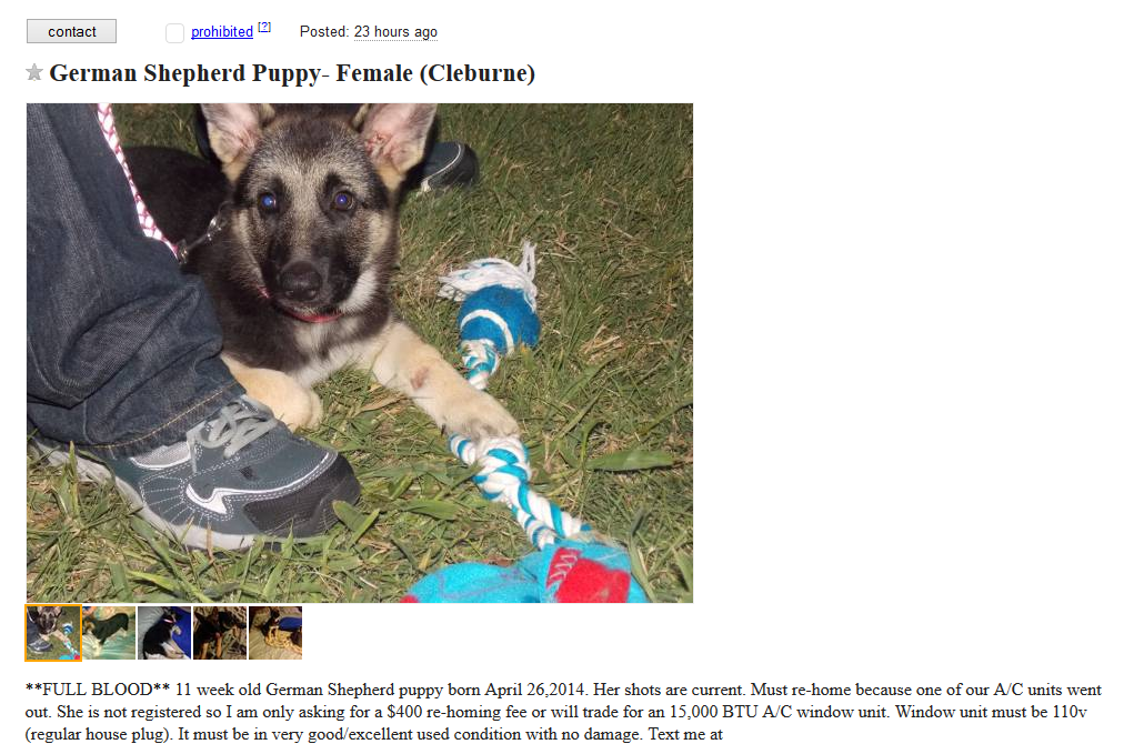 Craigslist Dogs 2 – More Dogs For Trade