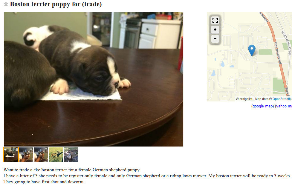 Craigslist Dogs For Trade