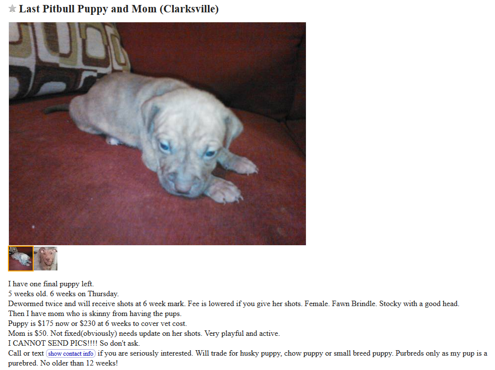 Craigslist Dogs For Trade
