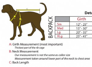 Revisão da mochila Kyjen Outward Hound Dog