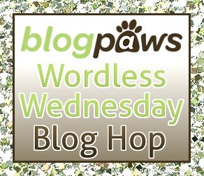 Wordless Wednesday – Steek je tong uit en zeg Ah