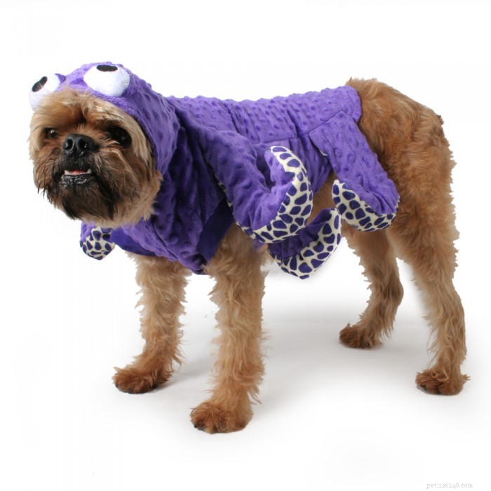 30 costumes de chien incroyables pour Halloween