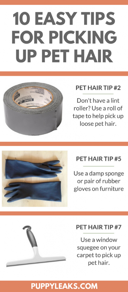 10 eenvoudige tips voor het opruimen van hondenhaar