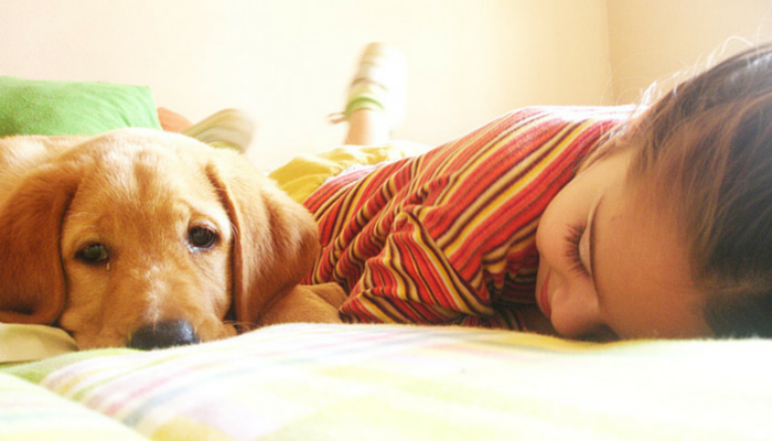10 dicas de prevenção de mordida de cachorro para crianças
