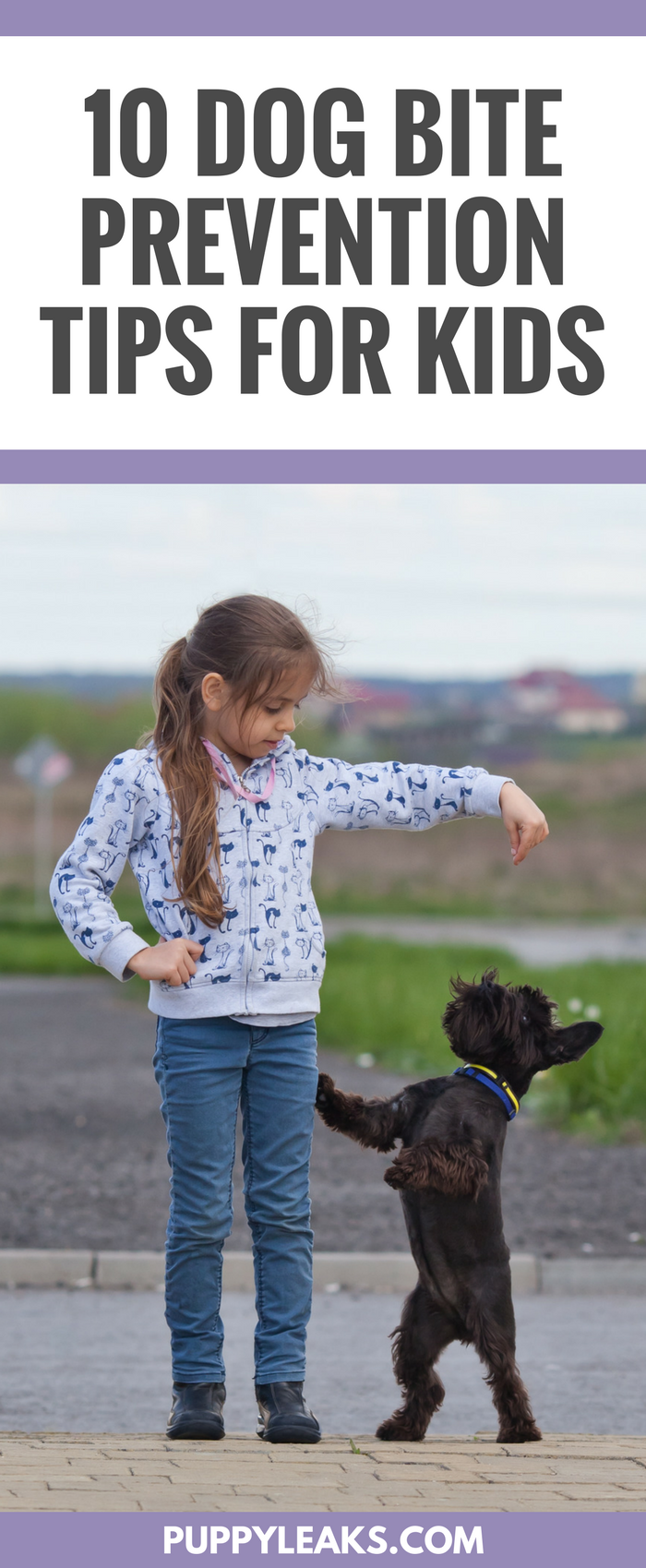 子供のための10の犬の咬傷予防のヒント 