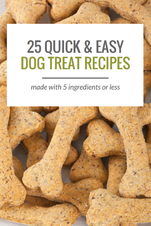 25 semplici ricette di snack per cani:fatte con 5 ingredienti o meno