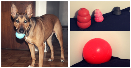 Jouets pour chiens indestructibles :Nos 7 jouets pour chiens résistants préférés 