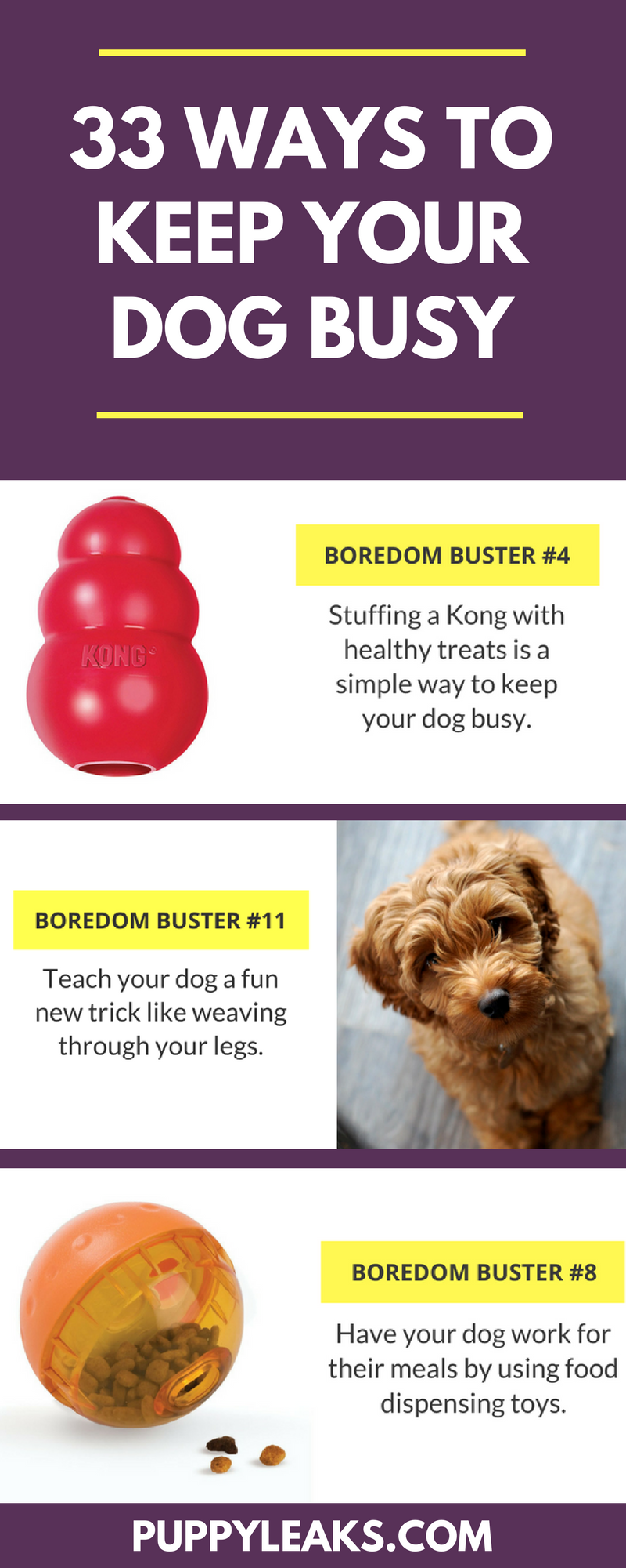33 eenvoudige manieren om uw hond binnenshuis bezig te houden