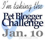 Výzva Pet Blogger Challenge 2015