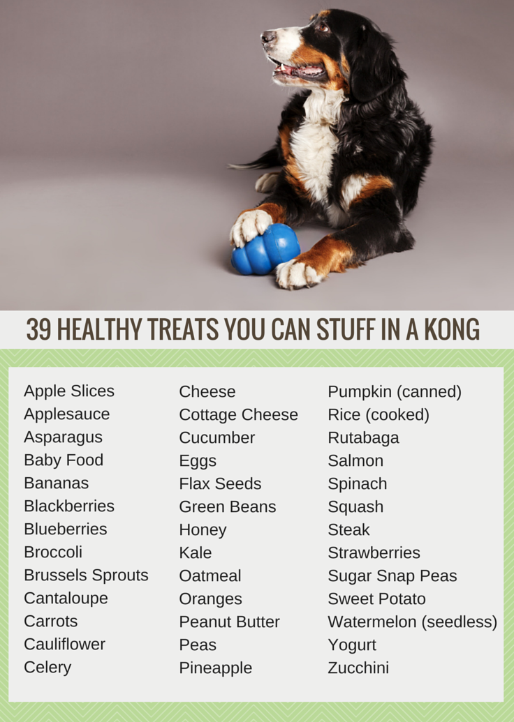 39 guloseimas saudáveis ​​que você pode colocar em um Kong