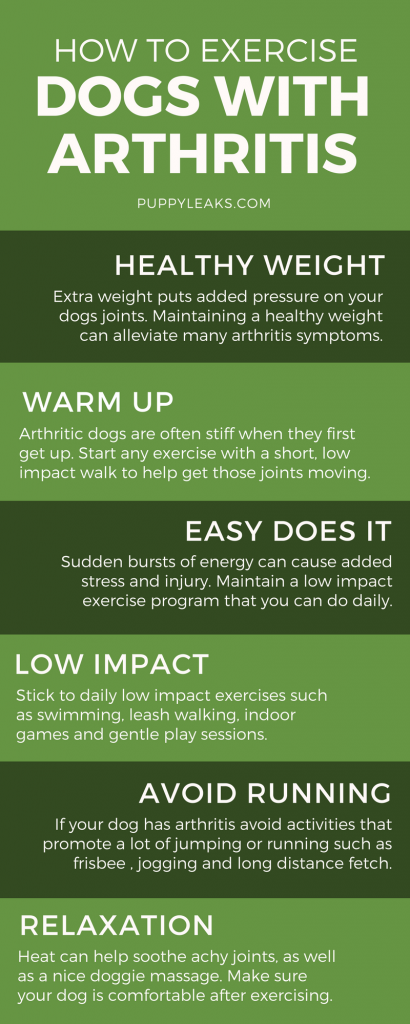 Jak cvičit psa s artritidou