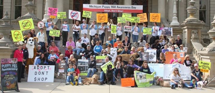 Help een standpunt in te nemen tegen Puppy Mills in Michigan