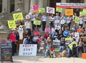 Ajude a se posicionar contra a Puppy Mills em Michigan