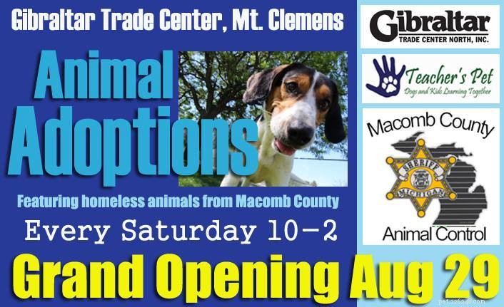 Michigan Market för att adoptera djur varje lördag