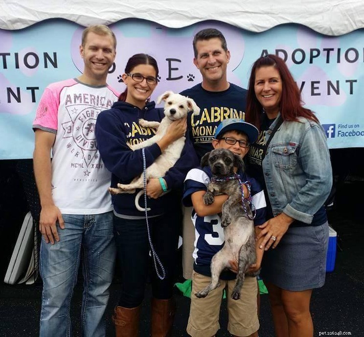 17 supersöta hundar som ler efter att ha blivit adopterade