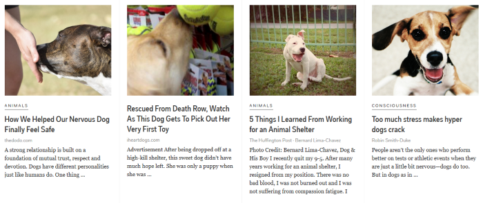 13 handige sites om de nieuwste hondenartikelen te vinden