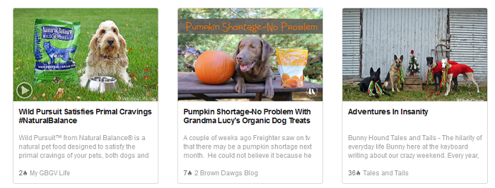 13 užitečných stránek, kde najdete nejnovější články o psech