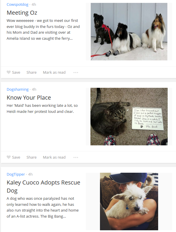 最新の犬の記事を見つけるための13の役立つサイト 