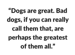 100 лучших цитат о собаках