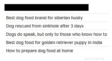 私が見るのにうんざりしている5種類の犬の記事 