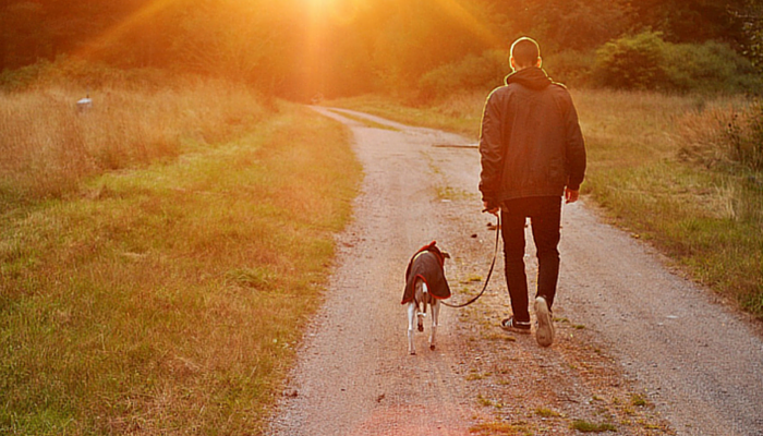 10 consigli per le passeggiate con i cani che tutti dovrebbero conoscere