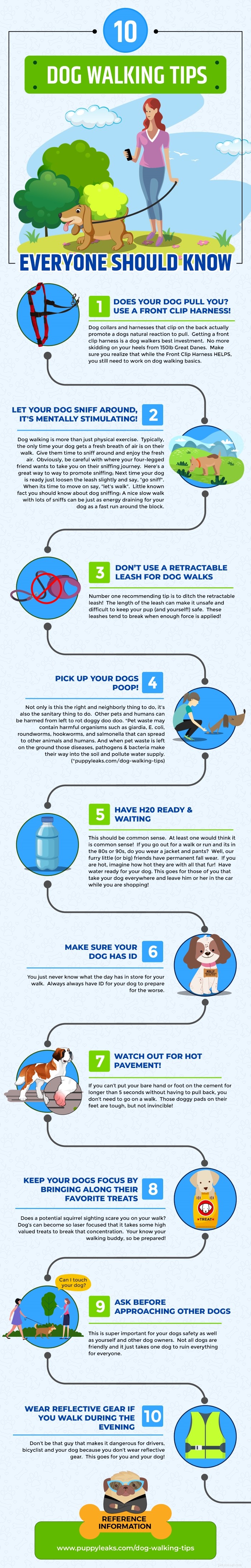 10 tipů na venčení psů, které by měl každý znát