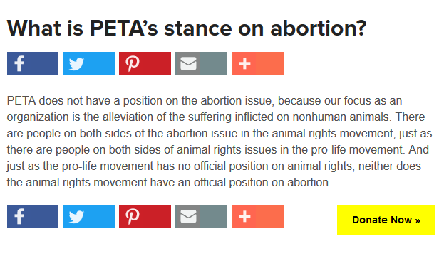 오전 3시에 PETA FAQ를 읽고 윤리에 대해 배운 것