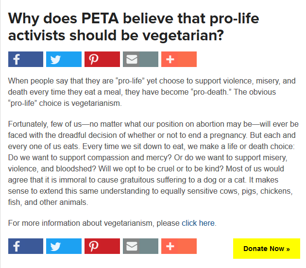 오전 3시에 PETA FAQ를 읽고 윤리에 대해 배운 것