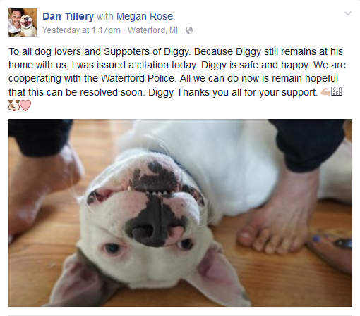 Help Save Diggy:The Ridiculousness of Breed Specific Legislation