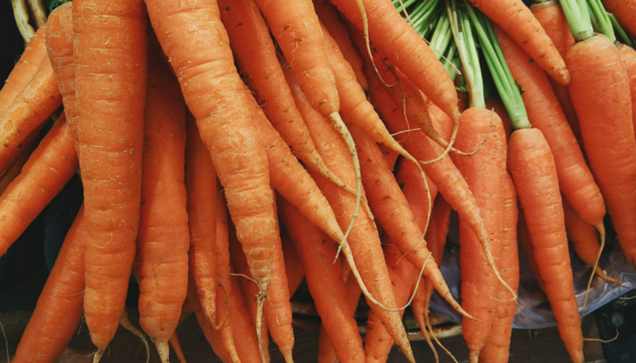 10 причин, почему из моркови получаются отличные лакомства для собак