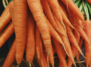 10 причин, почему из моркови получаются отличные лакомства для собак