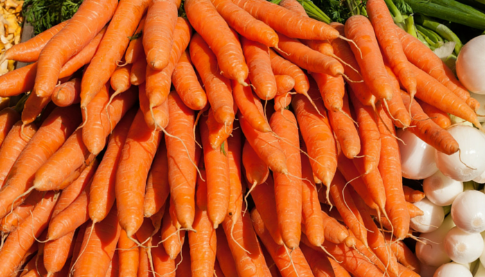 10 motivi per cui le carote sono ottimi snack per cani