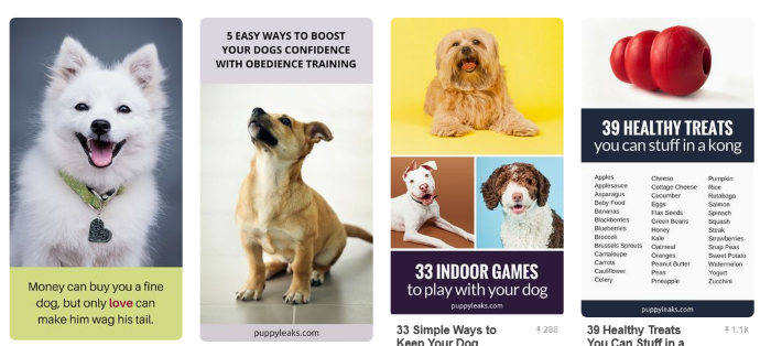 20 superbes tableaux Pinterest à suivre pour les amoureux des chiens
