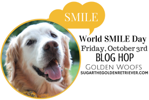 12 opvanghonden die glimlachen nadat ze geadopteerd zijn