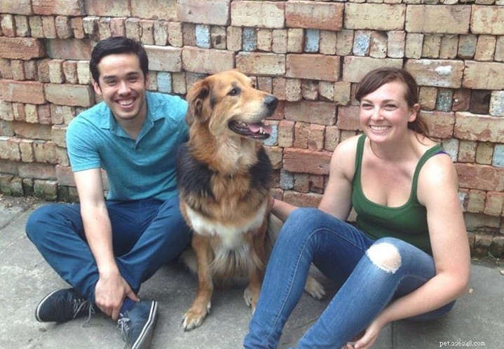 12 chiens de refuge souriants après avoir été adoptés