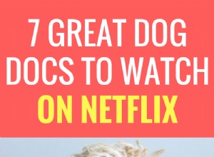 6 documentários sobre cães grandes para assistir na Netflix