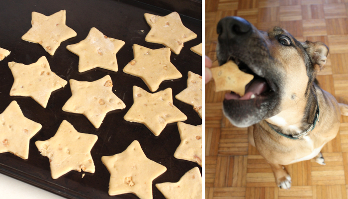 Snelle en gemakkelijke hondensnoepjes met pindakaas