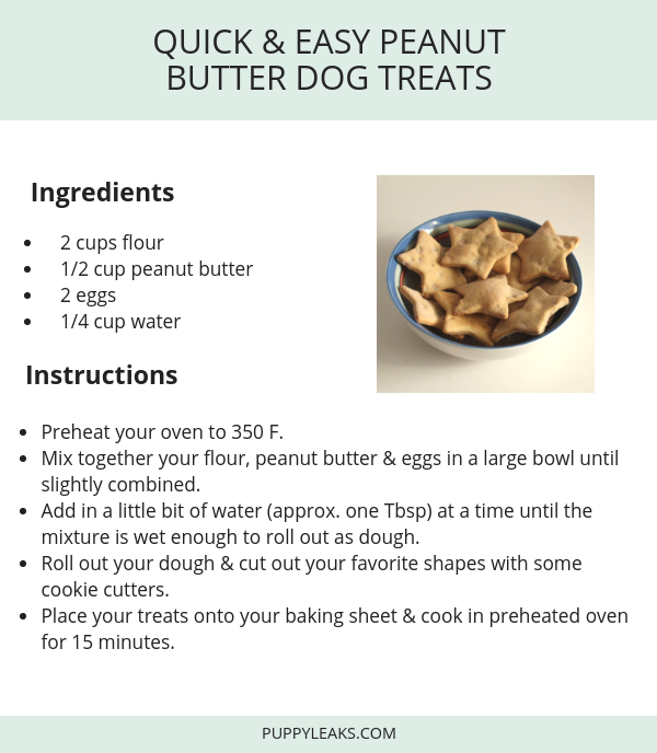 Gâteries pour chiens au beurre d arachide rapides et faciles