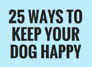 강아지를 행복하게 유지하는 25가지 쉬운 방법