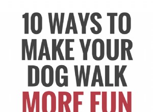 10 způsobů, jak učinit procházky vašeho psa zábavnější