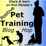 Come rendere divertente l addestramento del cane cambiando i premi
