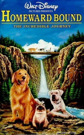 Les 13 meilleurs films pour chiens des années 90