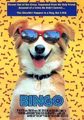 13 nejlepších filmů o psech z 90. let