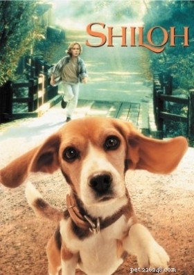 Os 13 melhores filmes de cachorro dos anos 90