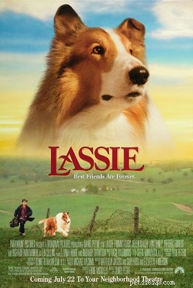 90年代からの13の最高の犬の映画 