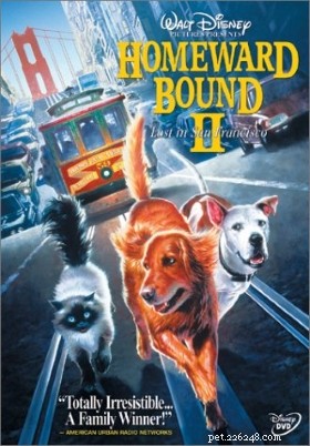 90年代からの13の最高の犬の映画 
