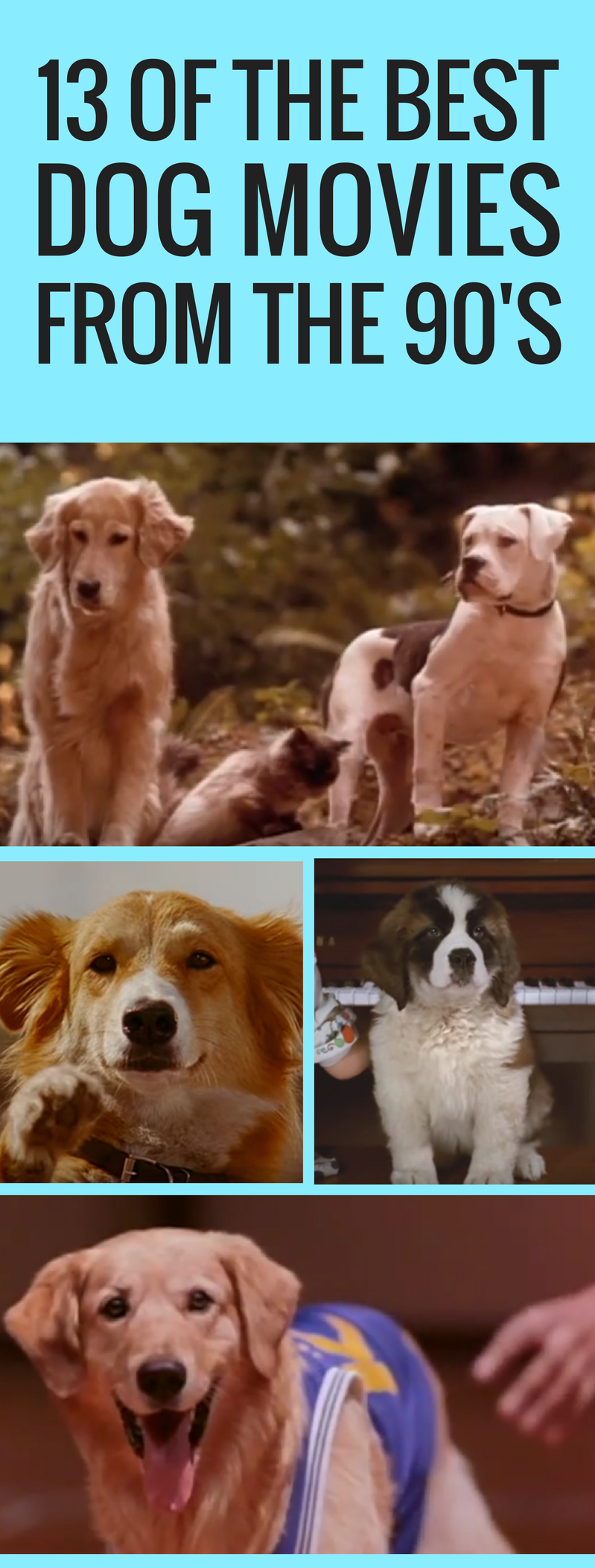 De 13 beste hondenfilms uit de jaren 90