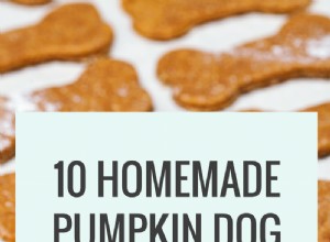 10 рецептов домашних лакомств для собак из тыквы