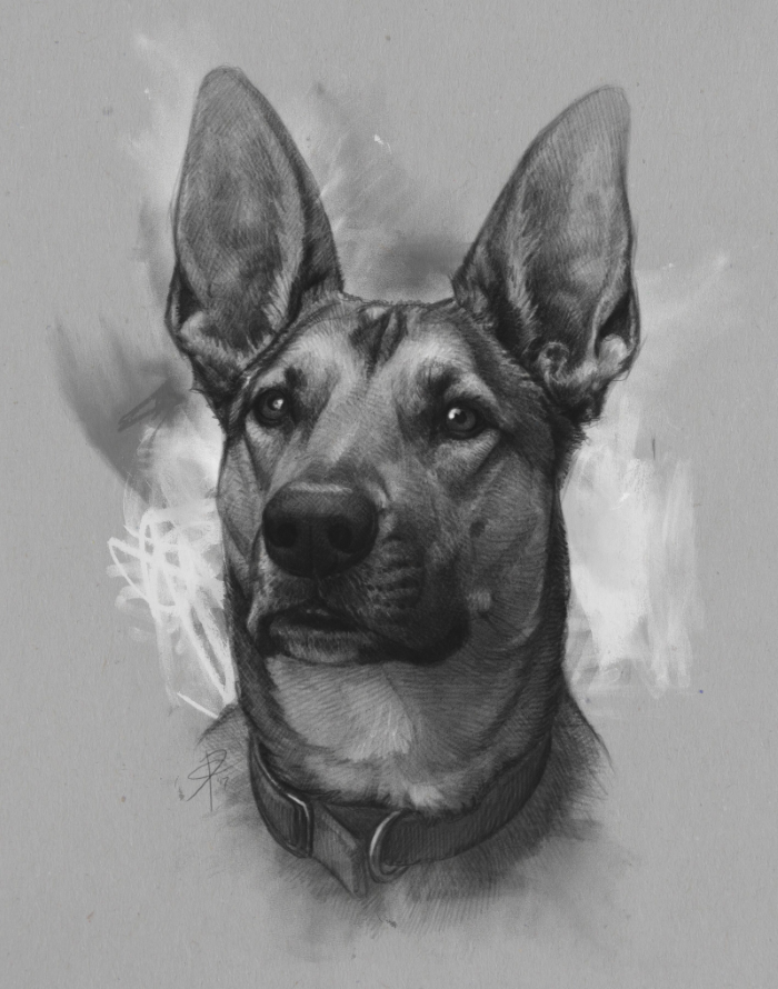 Tento vlastní portrét psa mi dal všechny pocity